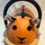 WHEELY BUG "PRINCE LIONHART" 7510 WHEELY-TIGER SMALL TODDLR RIDING TOY 1 thumbnail