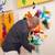 STUDIO 2423: ARTIST STUDIO CREATIVE WORKSPACE PRIME LOCATION 8 thumbnail