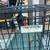 Medium dog crate 2 thumbnail