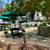 ✨✨1-Month Free, 1Bdrm/1Bath Apt in Clairemont!✨✨ 10 thumbnail