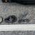 Water Well Pipe Special 1.25" PVC threaded and Well approved #10 wire 9 thumbnail