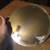 PARTYLITE P90275 MIRRORED CANDLE TRAY 11" & SABOR ISLENO VOTIVE CANDLE 3 thumbnail