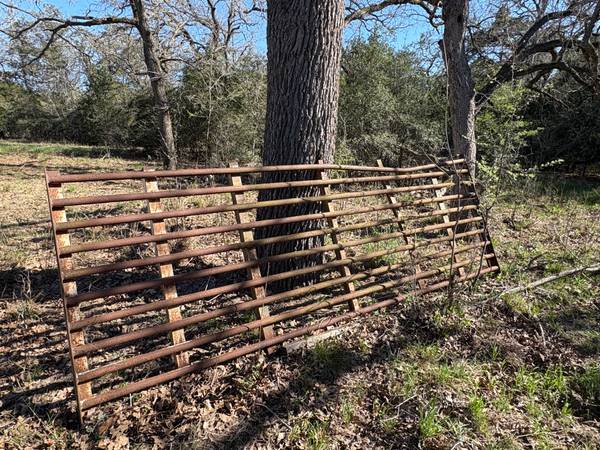 Cattle Guard 1