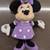 Minnie Mouse Plush - NEW and Coin Purse Bundle 6 thumbnail