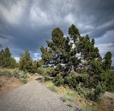 $18,000 🌿 3 Acres de Magia en el Interior de Oregón — $18,000 OBO (Sprague River, OR)63834315908099120