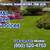 🔷MORELOS TREE Specialist, Removal, Trimming, Stump. Dependable🔷 1 thumbnail