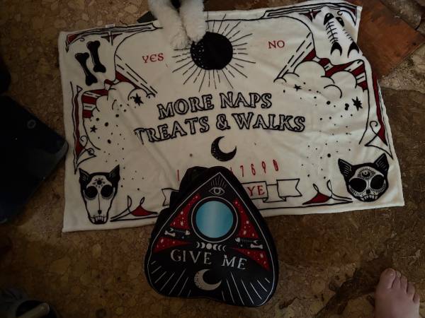 Free pick up only Halloween outfit new never worn 1