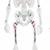 Halloween 2025 5ft Day of the Dead Skeleton 11 thumbnail