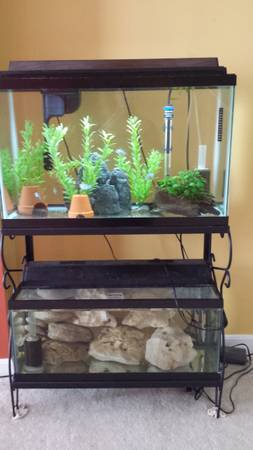 Double aquarium fish tank and stand 1