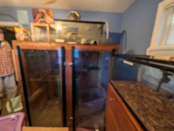 Reptile Cage/Fish tanks (Manchester)63656348431745124