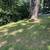 Stump Grinding 20 thumbnail