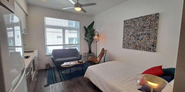 $975 / 260ft2 - ¡Ubicación imbatible! A una cuadra de los carritos de comida Cartopia (SE Portland/Broadway/Laurelhurst/Buckman)63831466566787120