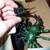 HALLOWEEN Spider Light Decoration Decor Animation Vintage New Lights 8 thumbnail