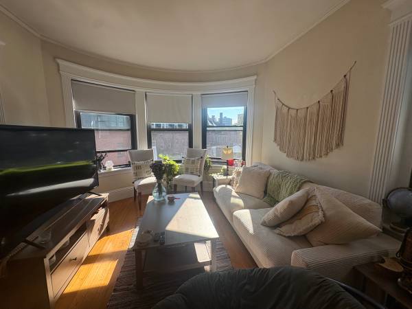 $1,400 / 2br - Cozy room in charming Coolidge corner apartment (Brookline)63931250195458123