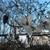 Franklin Tennessee 19 thumbnail