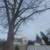 Tree Branch Trimmings & Tree Removals 3 thumbnail