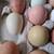 Assortment of Hatching Eggs 5 thumbnail