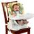 Bright Starts Sunnyside Safari Chair Top High Chair 1 thumbnail