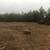 Land clearing,field mowing 1 thumbnail