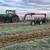 Beardless Wheat Hay rounds -- $100/bale 1 thumbnail