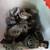 🔴LOTS OF 63-82 CORVETTE PARTS LOOK AT ALL PICS🔴 9 thumbnail