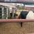 (Calf ) belted Galloway girl 6 thumbnail