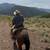 Bowie - 3yr Mustang, Ranch, Trail Ride or Show! 3 thumbnail