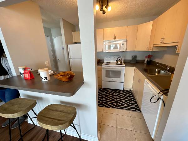 $2,275 / 1br - Sunny & Spacious 1 Bedroom in Downtown! (South Loop)63844191484035123