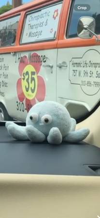 Lost Stuffed Animal 1