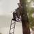 Rivers Edge Ladder Tree Stand 4 thumbnail
