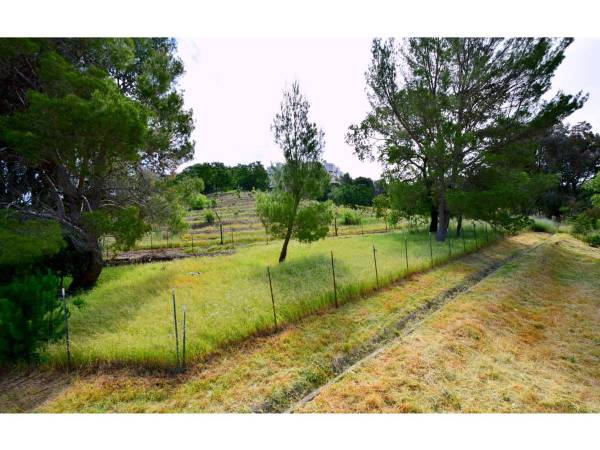$2,695 / 1br - 645ft2 - Patio o Balcón, Cocinas Totalmente Equipadas, Espacios Amplios y Luminosos (san rafael)63657829473155123