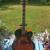 Cort Larry Coryell Signature Hollowbody Archtop Jazz Guitar 1 thumbnail