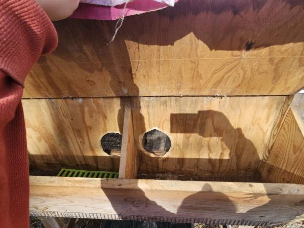 Cages and feed containers 1