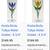 Kosta Boda Tulipa Water Goblets (2) 5 thumbnail