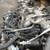 Honda Toyota Nissan & More JDM Imported Used Engines & Rebuilt Engines 2 thumbnail