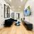 Private Balcony Furnished Sublet Room! in unit Laundry! Modern wow! 8 thumbnail