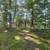 Roosevelt Lake Lot 13 thumbnail