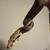 Colombian Red-Tail Boa 2 thumbnail