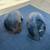 66 Pontiac Lemans ( Inner Front Wheel Wells ) 4 thumbnail