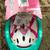 Barbie Toddler Bike Helmet (NWT) 4 thumbnail
