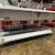 Atosa CookRite CSTEB-5 Electric 5 Well Steam Table 240 volts 8 thumbnail