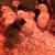 Chicks 2 thumbnail