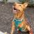 Local Animal Care Provider -- Washington, D.C. 3 thumbnail