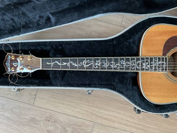 Washburn guitar 1