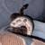Male Ball Python – Super Friendly – $70 FIRM 5 thumbnail