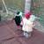 Two collectible miniature figurine dolls 4 thumbnail