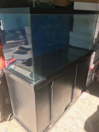 Will trade Handyman -clean up services for fish tank 1