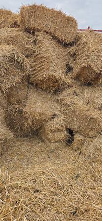 Rye straw 1