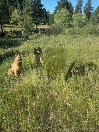 GhostBlind hunting blind 1