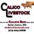 Gentle Heat Tolerant Grass Efficient Cows - Gelbvieh/Red Angus/Senepol 23 thumbnail
